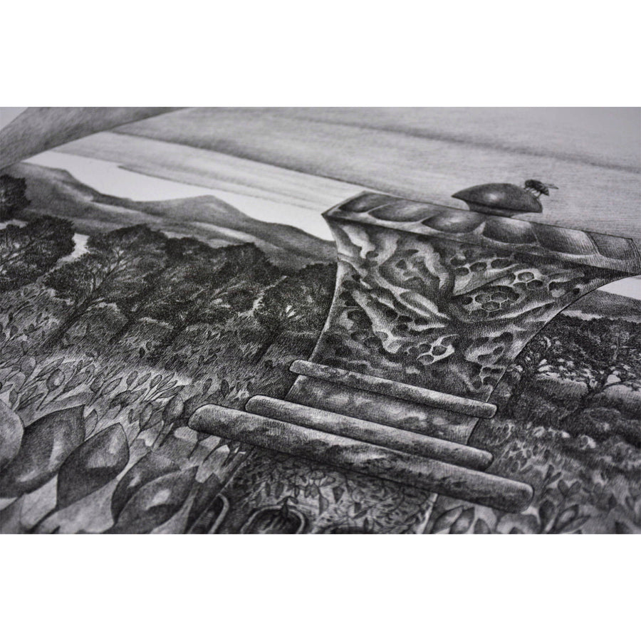 Composition intitulée « Reine » et réalisée au dessin à l’encre noire sur papier Arches par Elisabeth Gravel. Encadrement en noyer fabriqué par Atelier 27 x 27..