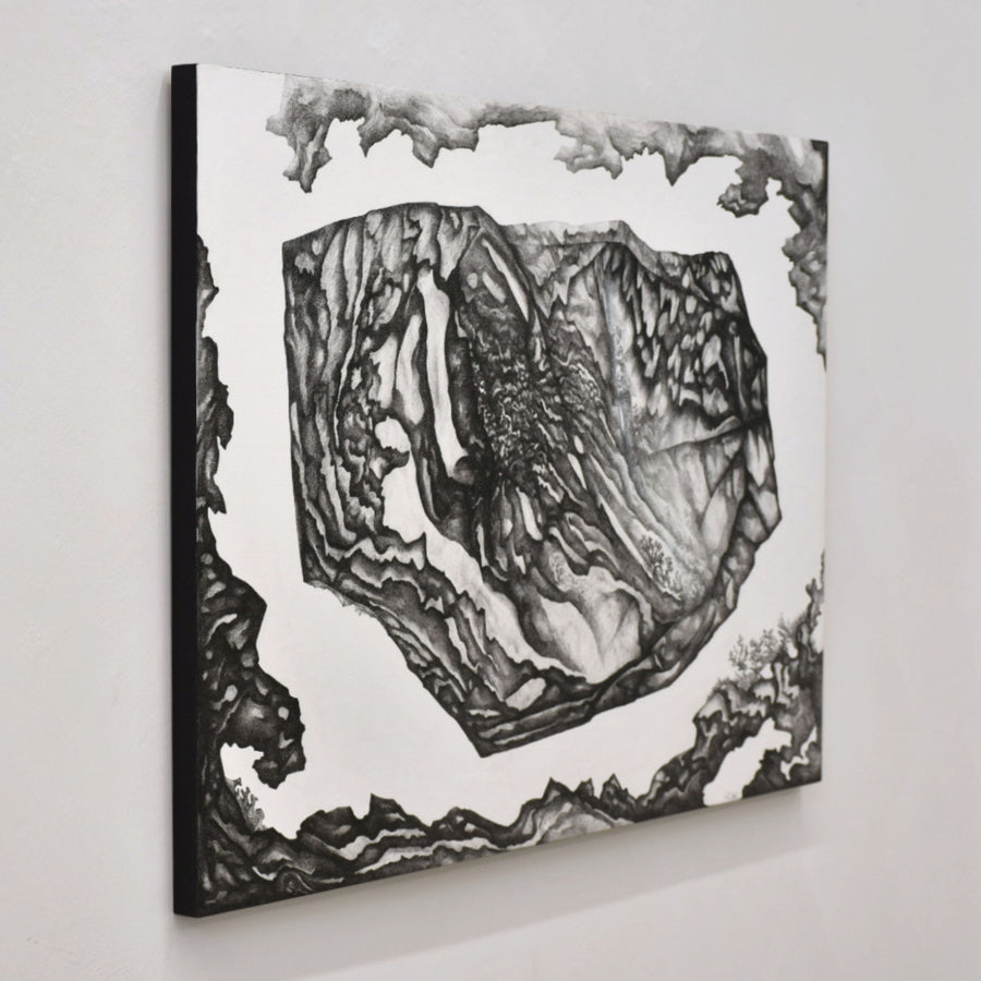 Format horizontal d’un dessin à l’encre noire sur papier marouflé sur bois signé Elisabeth Gravel. Composition surréaliste de formations sédimentaires et de coraux.