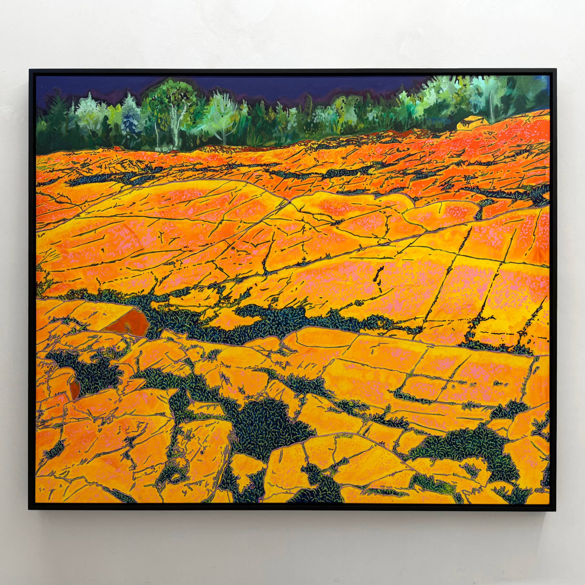 Le varech hydraté sur les strates bouillantes, par Josiane Lanthier. Grand format d’un rivage orangé à marée basse, horizon d’arbres verts et ciel bleu foncé.