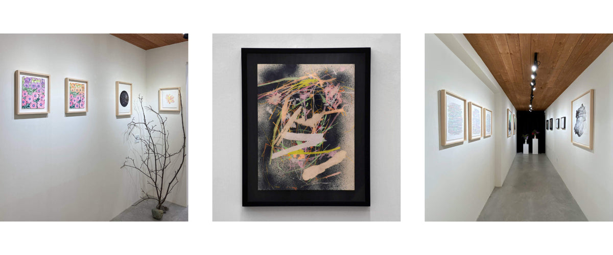 Marie-Claude Drolet développe une pratique à la croisée de l’art et de la science, où ses récoltes de fragments naturels et industriels deviennent matière à compositions sensibles traduisant la complexité des écosystèmes et les transformations du temps sur le territoire.