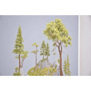 Vivarium 3 - 22” x 30”