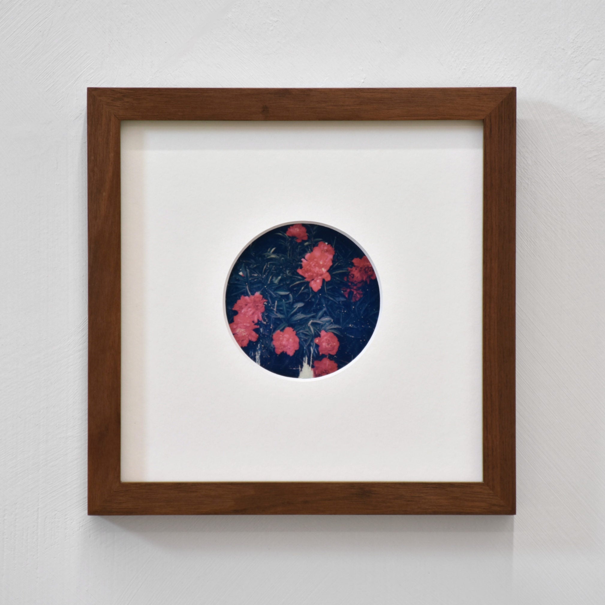 Les pivoines de Louise I, par Caroline Bolieu. Photographie unique sur film polaroid circulaire 600 en couleurs, 3” x 3”, 2024. Cadre en noyer.