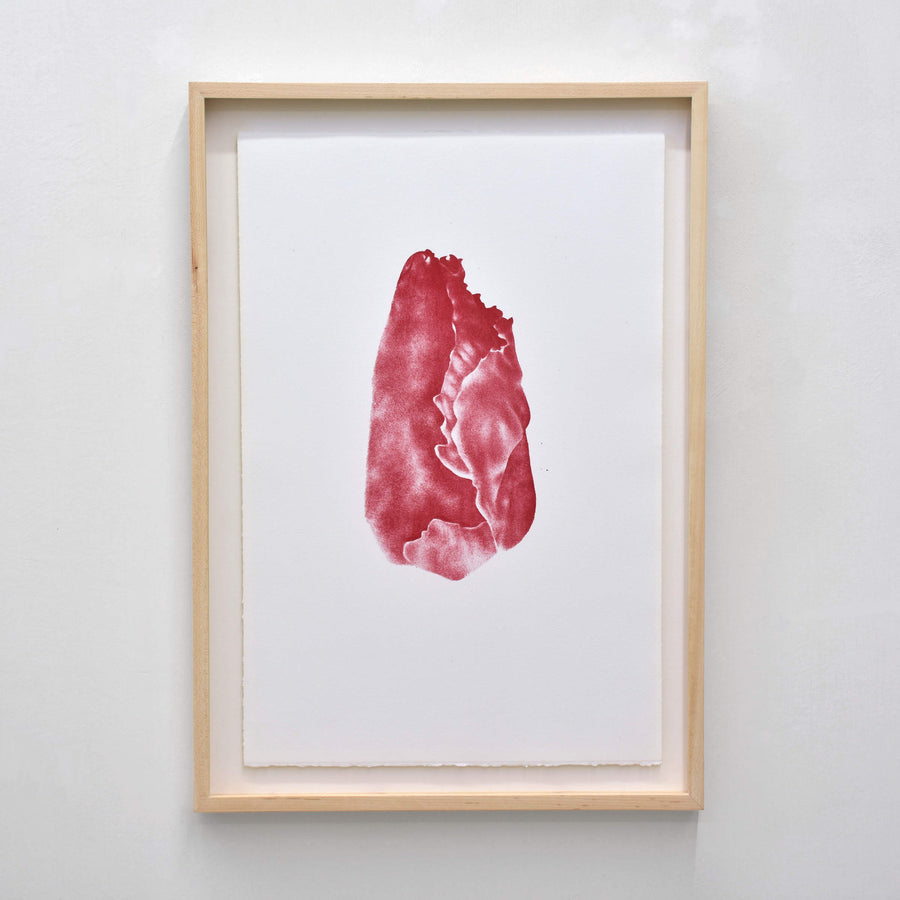 L’asymétrie des roses, par Julie Bellavance. Dessin d’un bouton de rose réalisé sur pierre, puis imprimé sur papier Stonehenge blanc. Fleur rouge, cadre en érable.