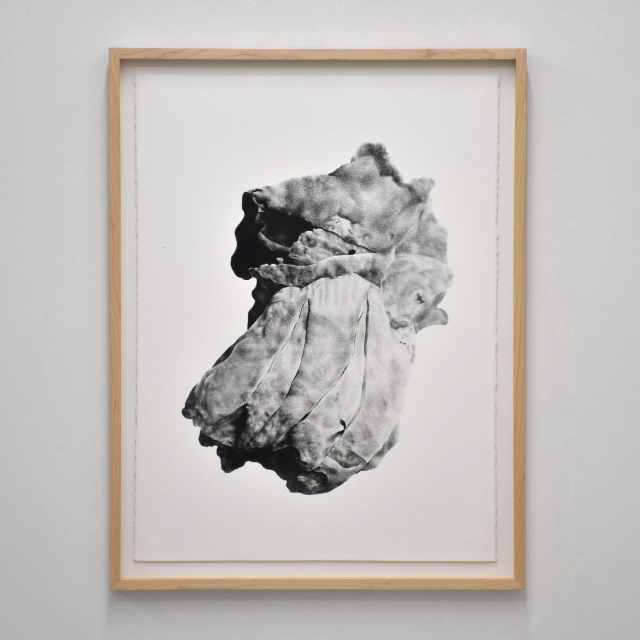 Balanomorpha I de Julie Bellavance. Dessin en noir sur blanc d’une balane. Impression lithographique, tirage limité.