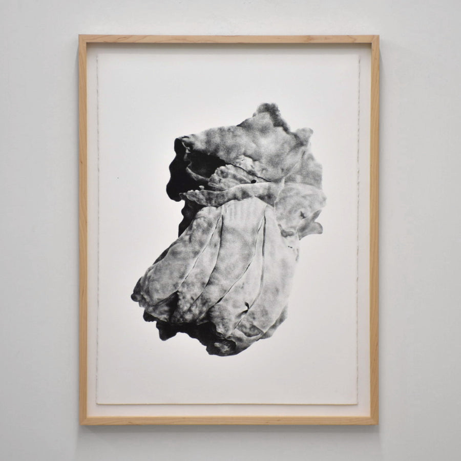 Balanomorpha I de Julie Bellavance. Dessin en noir sur blanc d’une balane. Impression lithographique, tirage limité.