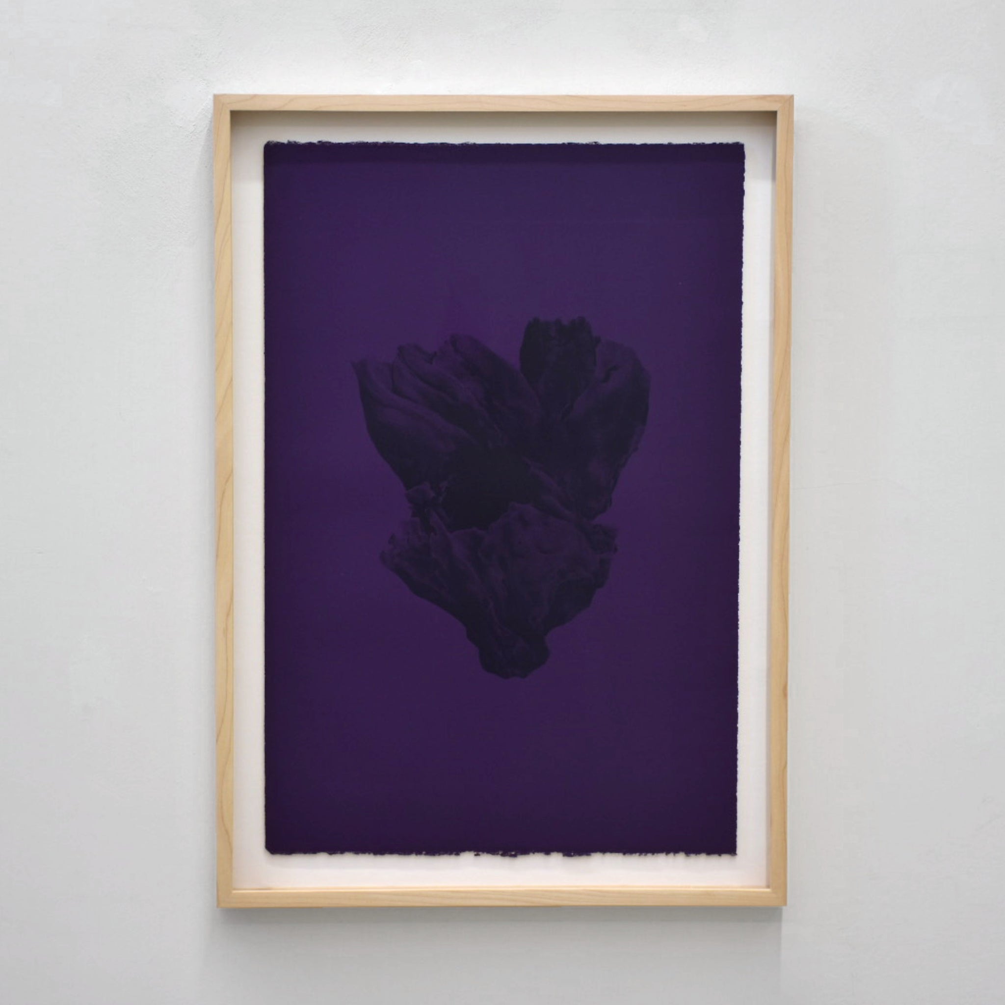 Balanomorpha II de Julie Bellavance. Impression lithographique d’une balane noire sur fond mauve. Cadre en érable.