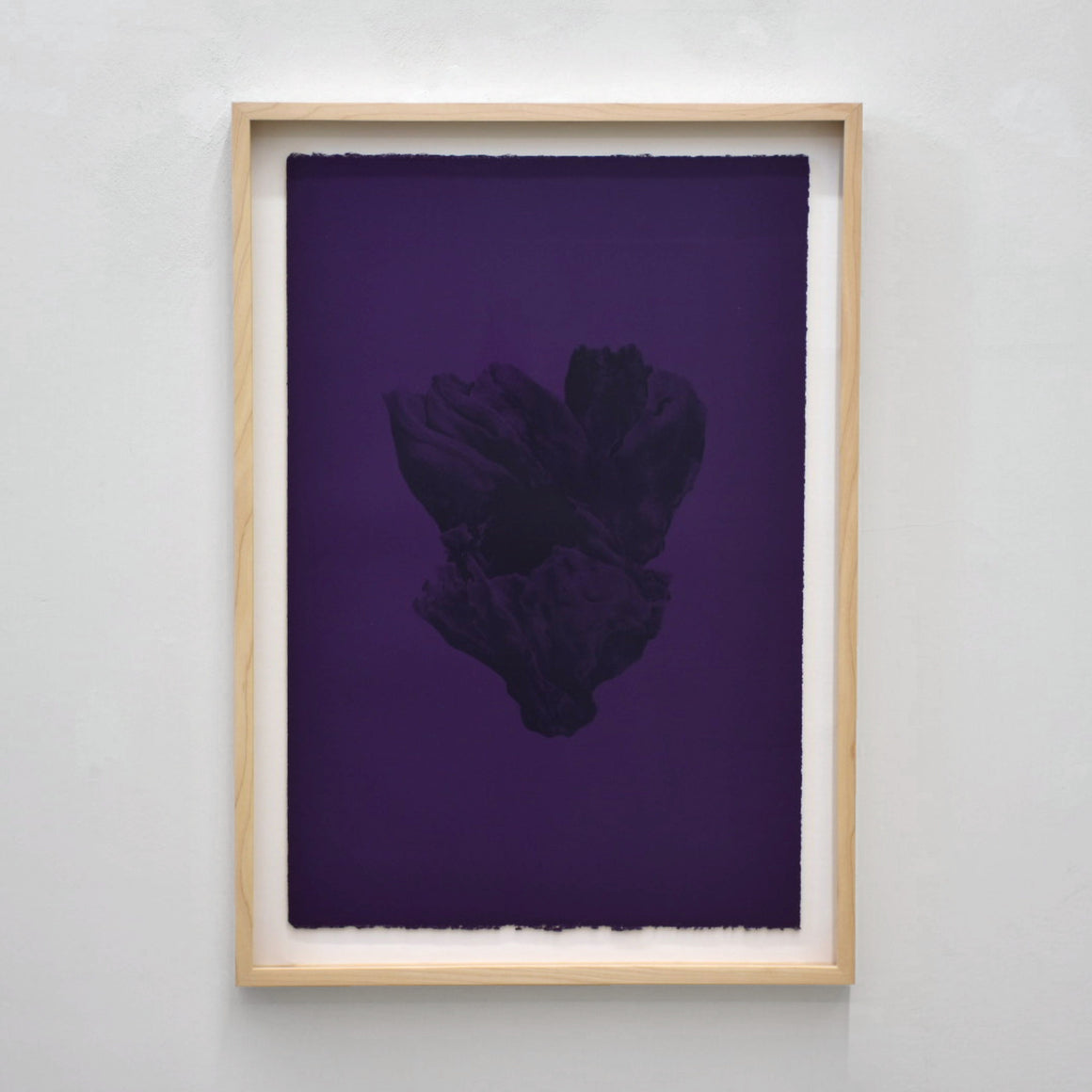 Balanomorpha II de Julie Bellavance. Impression lithographique d’une balane noire sur fond mauve. Cadre en érable.