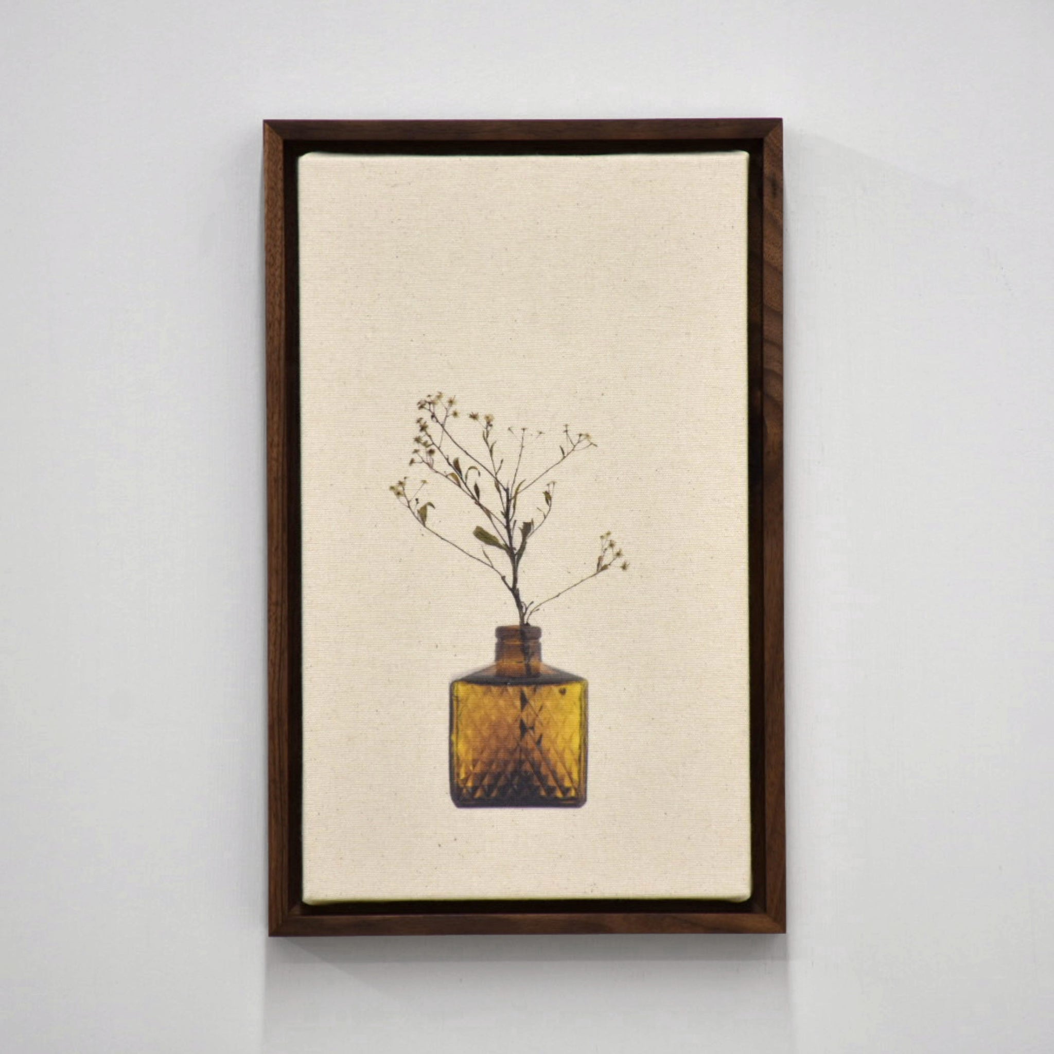 Épervière jaune, par Caroline Bolieu. De sa série du Cabinet des fleurs. Photographie d’une tige séchée d’épervière jaune dans un vase ambré. Tirage unique.