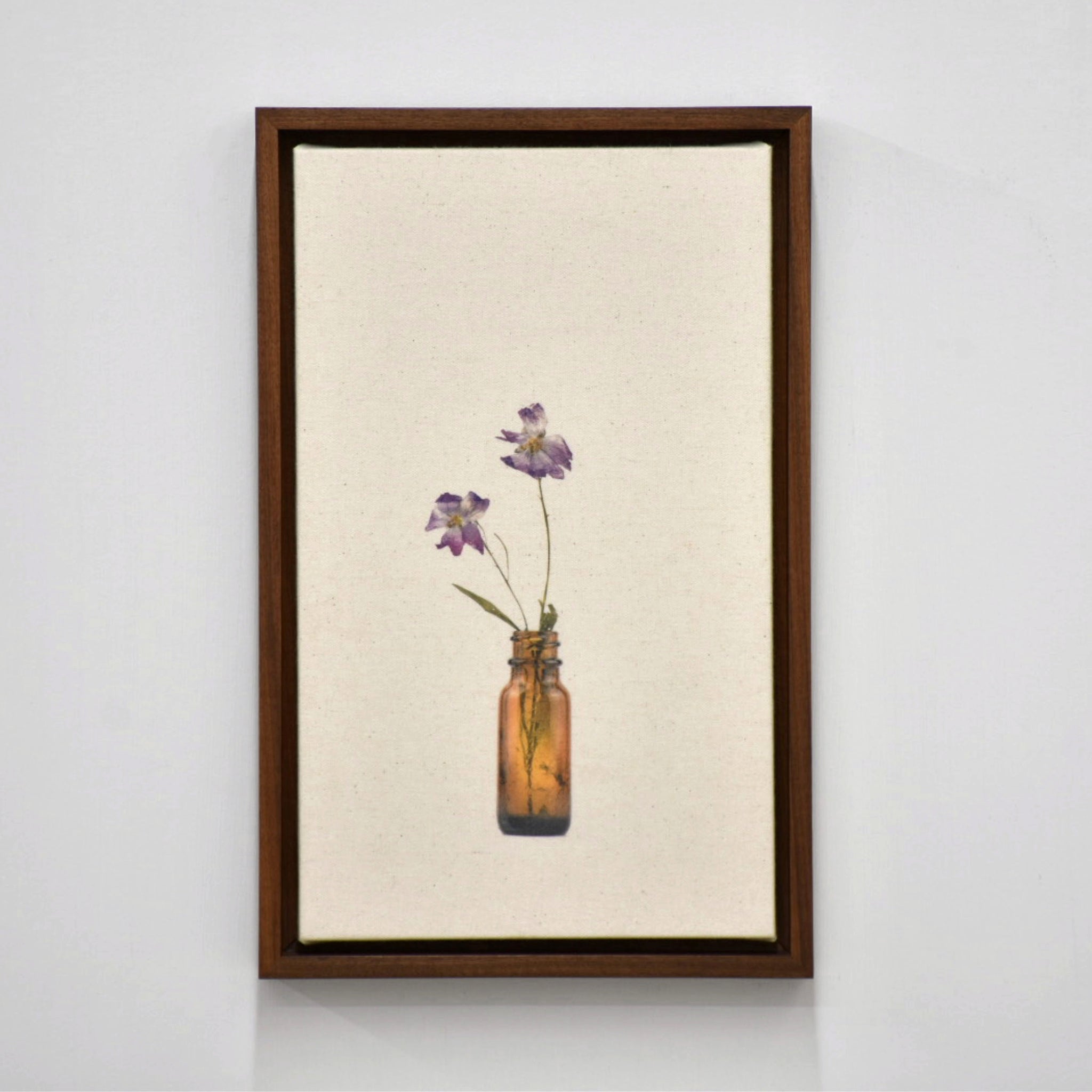 Mauve musquée, de Caroline Bolieu. De sa série du Cabinet des fleurs. Photographie de deux mauves musquées dans une fiole ambrée. Tirage unique.