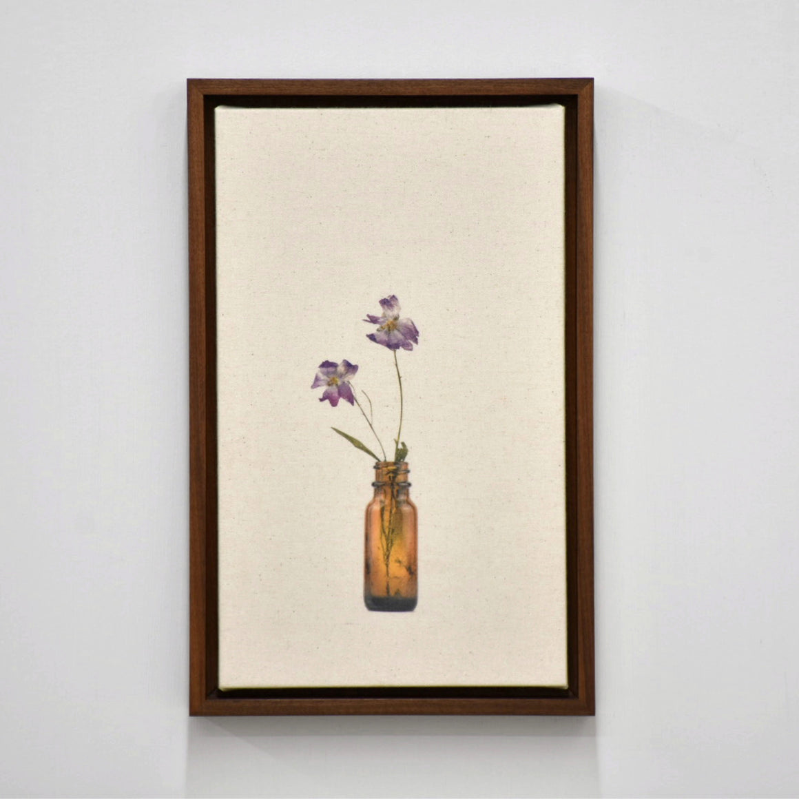 Mauve musquée, de Caroline Bolieu. De sa série du Cabinet des fleurs. Photographie de deux mauves musquées dans une fiole ambrée. Tirage unique.