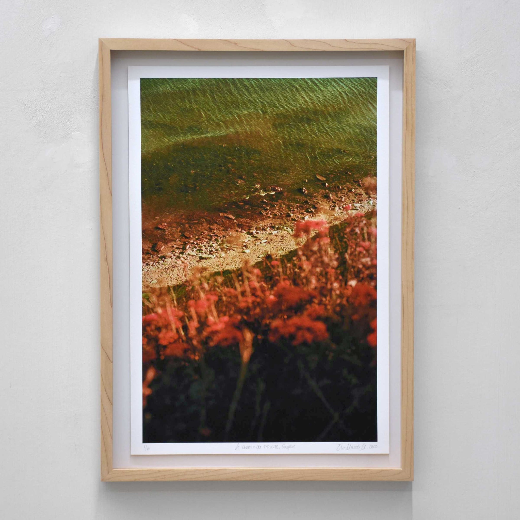 Le chemin de traverse, par Éva-Maude TC. Photographie contemporaine sur pellicule 35 mm. Des fleurs rouges bordent le fleuve à Percé, en Gaspésie.