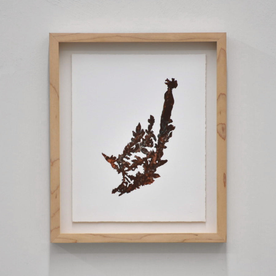 Cuivre natif II/III, de Julie Bellavance. Dessin épuré d’un cuivre natif sur fond blanc. Encadrement en érable.