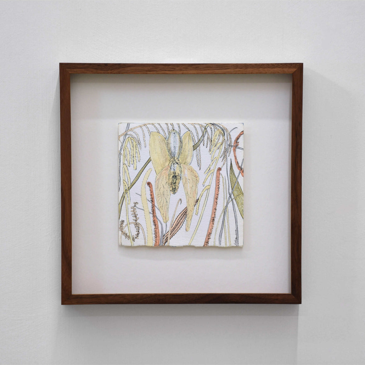 Le Jardin des délices, par Andréanne Le. Hudon. Encre et aquarelle sur papier, 6,5” x 6,5”, 2022. Cadre en noyer. Fleur d’orchidée, vulve.