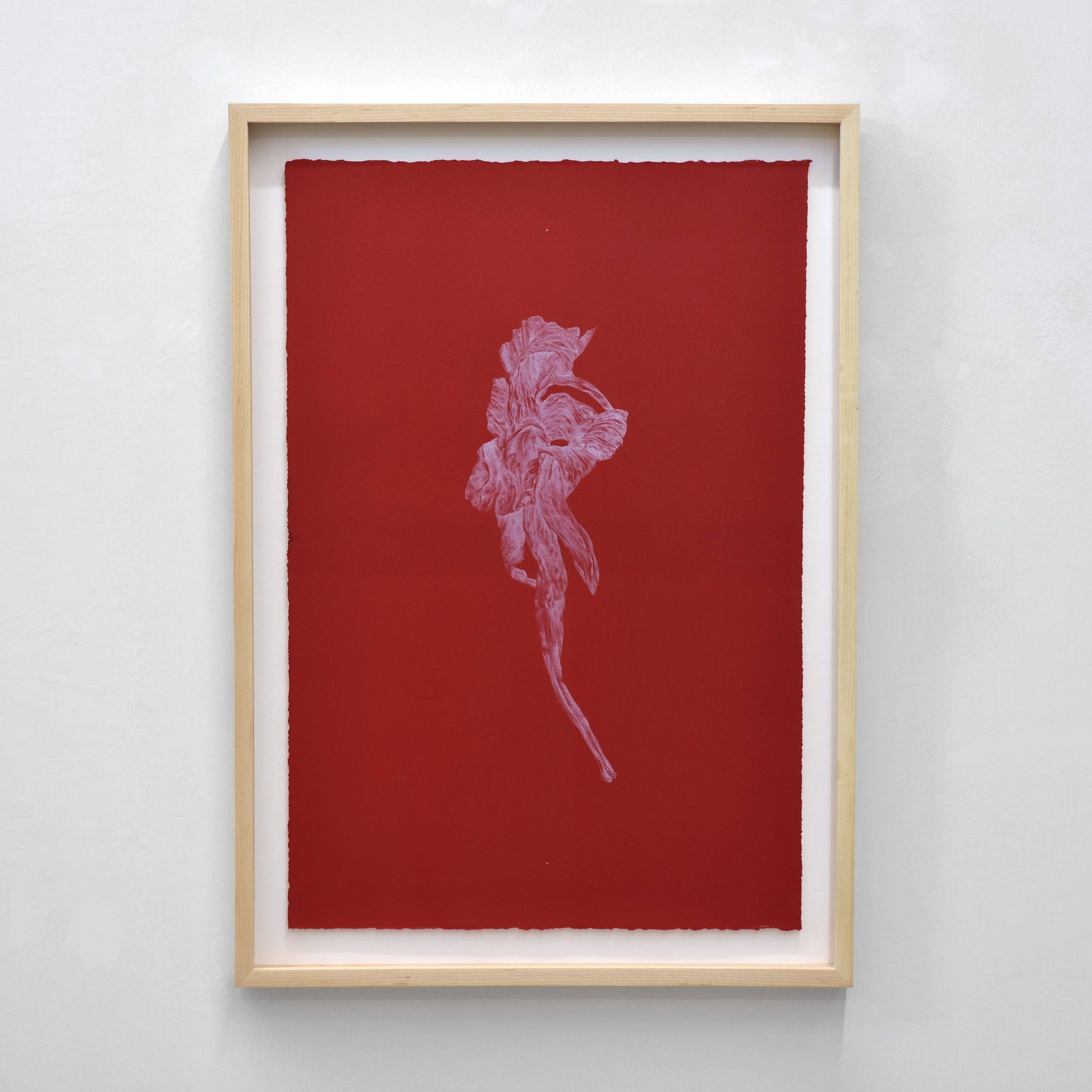 Liliacée II, par Julie Bellavance. Impression lithographique d’une fleur fanée blanche sur fond rouge. Composition minimaliste.
