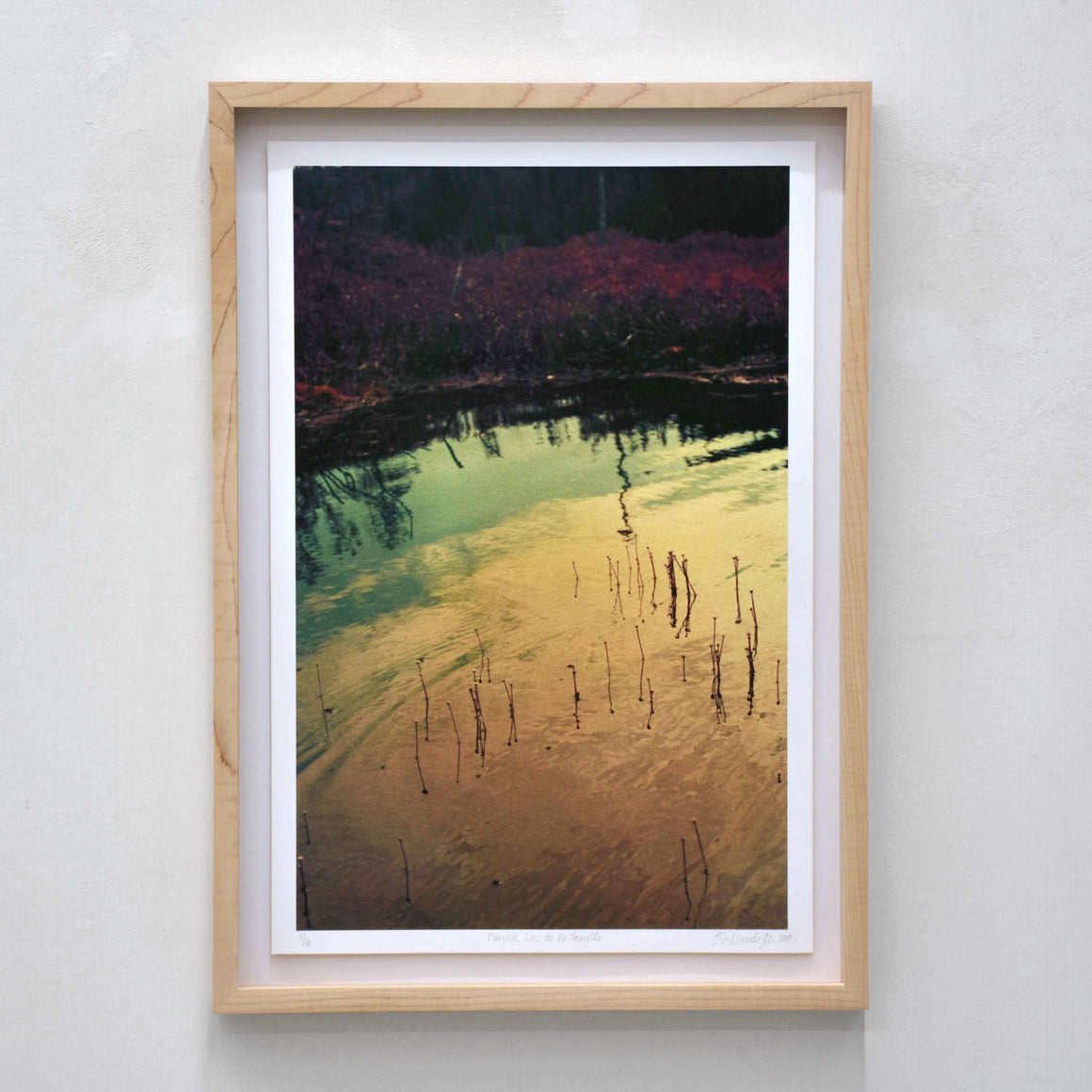 Narcisse, par Éva-Maude TC. Photographie contemporaine sur pellicule 35 mm. Reflet doré de lumière sur un étang, végétation rouge velours.