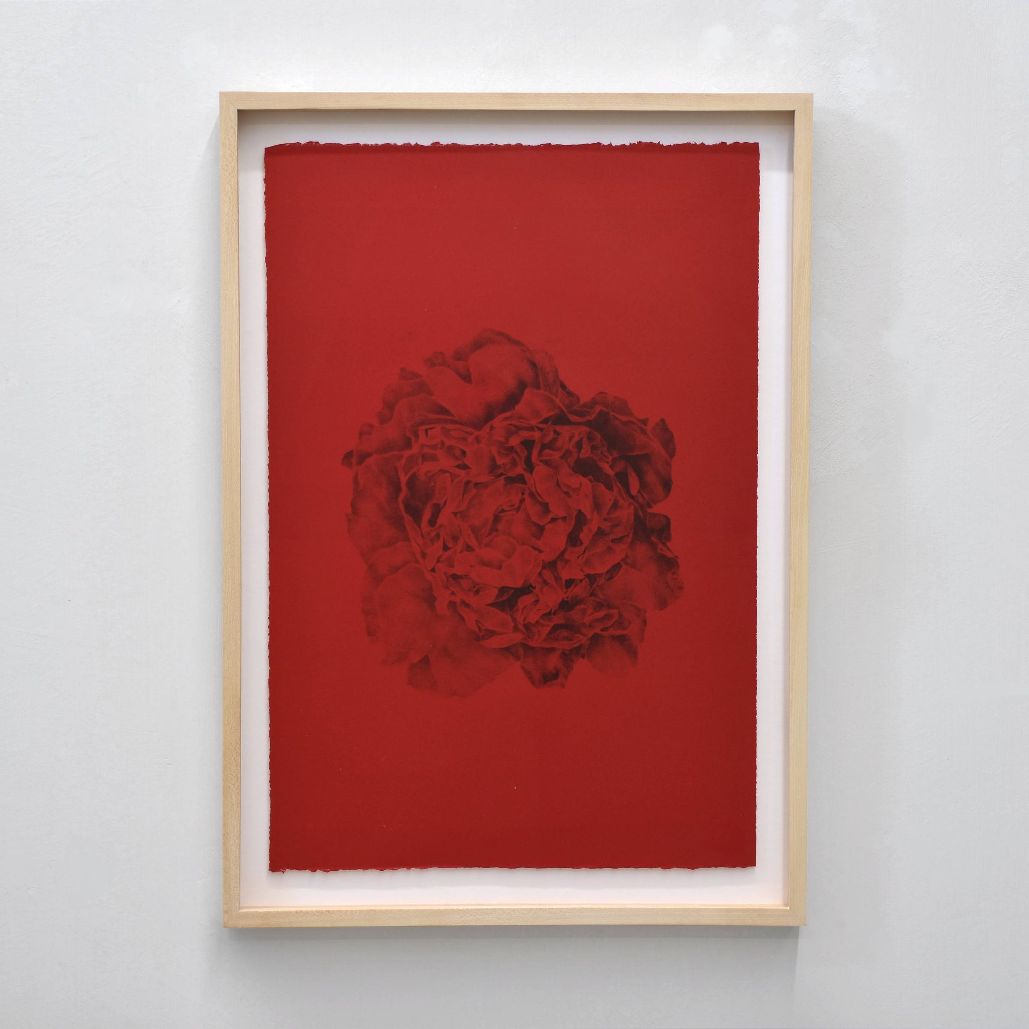 Paeonia, de Julie Bellavance. Lithographie sur papier Zerkall blanc. Pivoine noire sur fond rouge. Cadre en érable.