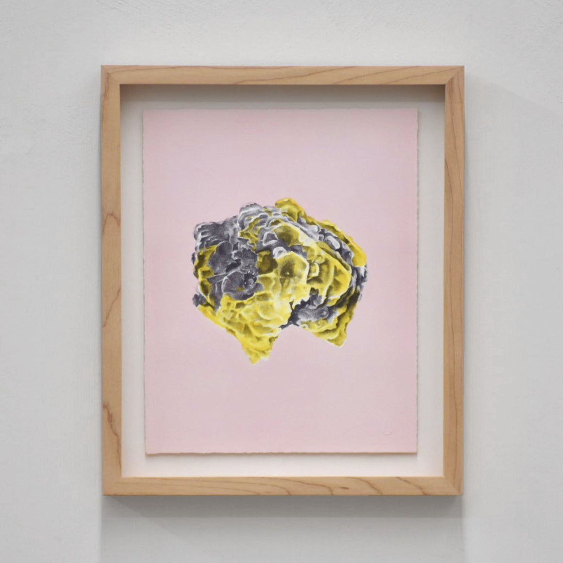 Polylithionite, par Julie Bellavance. Dessin lithographique d’une pierre semi-précieuse en jaune et noir sur fond rose.