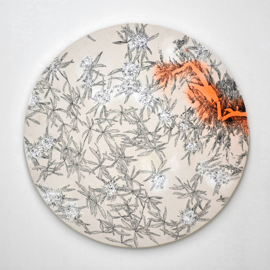 Thé du Labrador et flag, par Karine Locatelli. Composition circulaire de fleurs de thé du Labrador avec flag orange fluo.