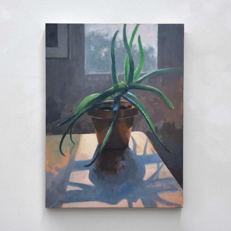 L’érable et l’aloès de Benoit Chartier. Acrylique sur panneau de bois, 12” x 16”, 2022. Aloès en pot à la lumière du soleil sur le bord d’une fenêtre. Nature morte.