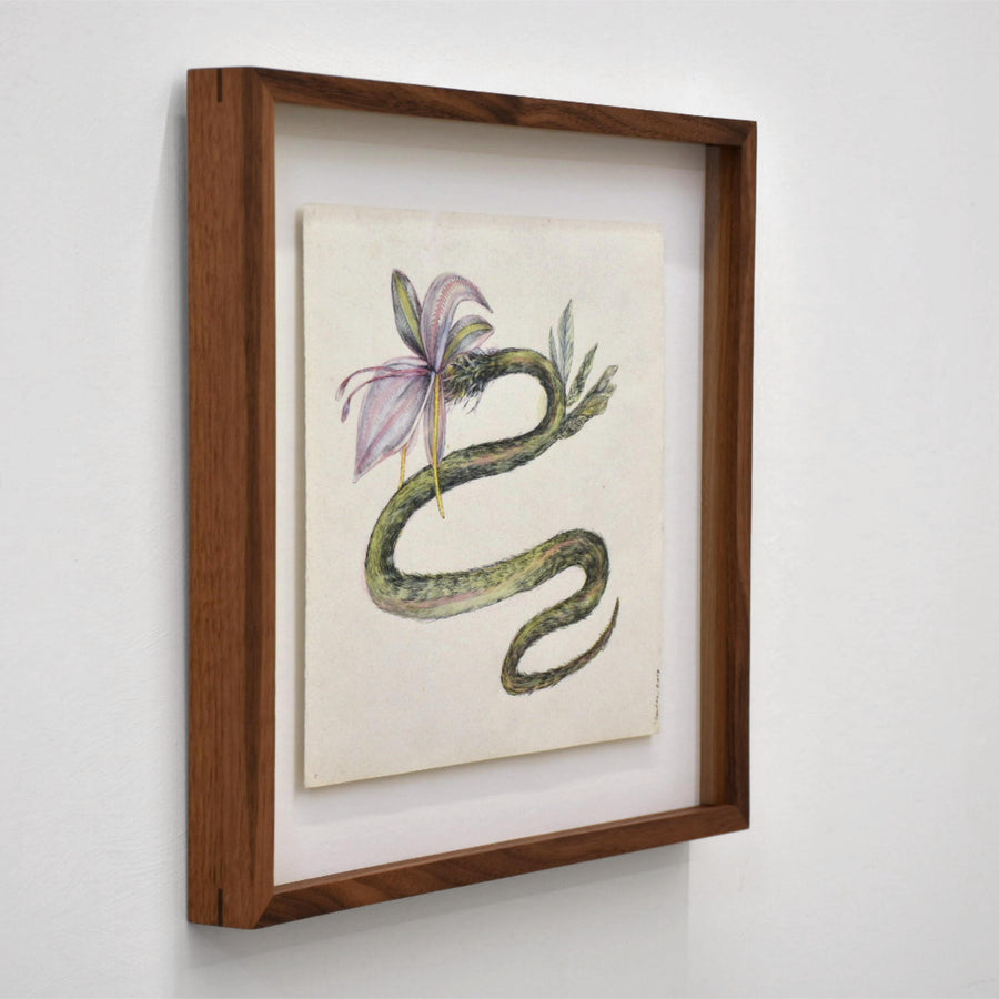 Serpent-fleur (Lilium serpentes) — 10” x 10,5”