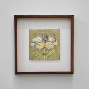 Papillon-fleur — 6,5” x 6,5”