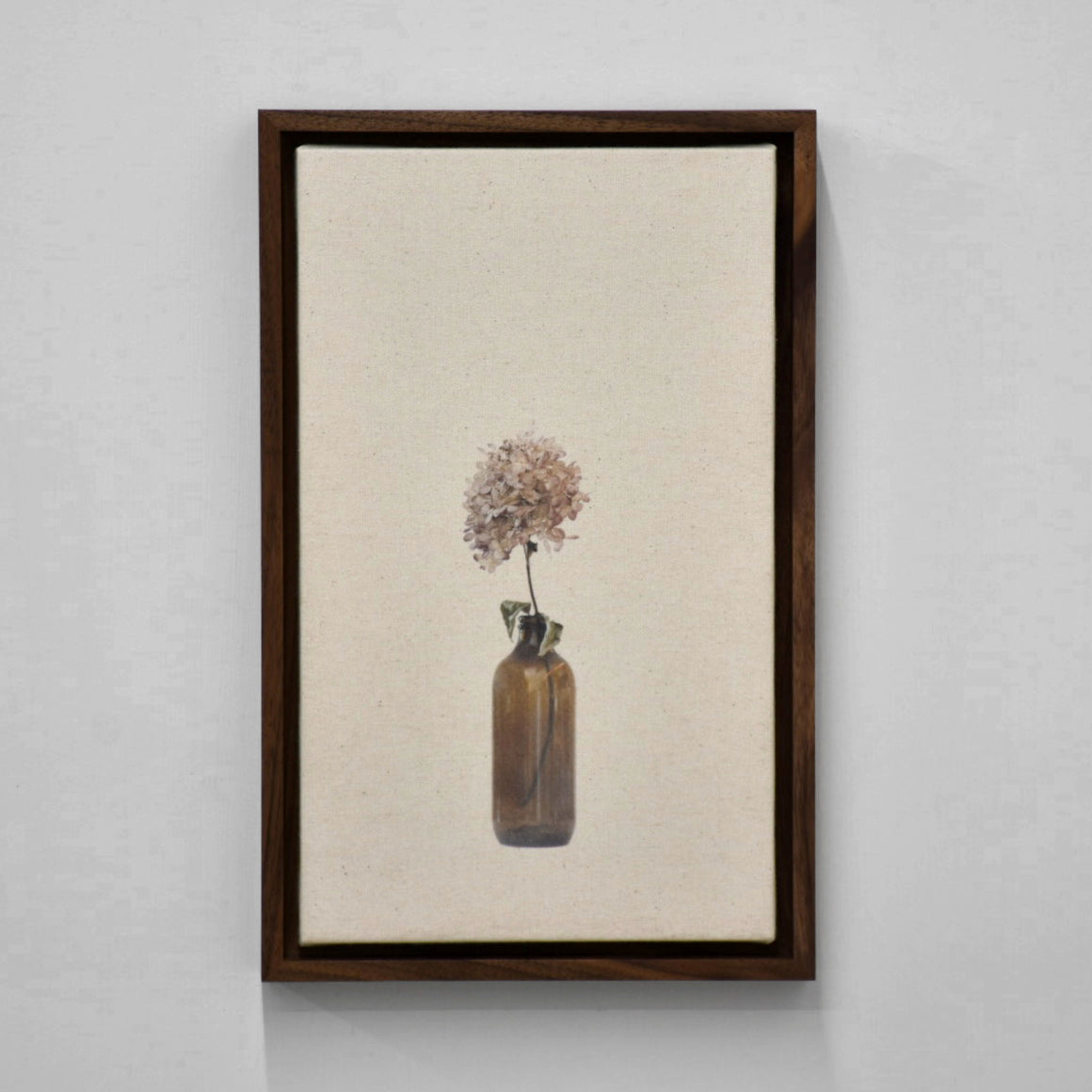 Cabinet des fleurs, Hydrangée