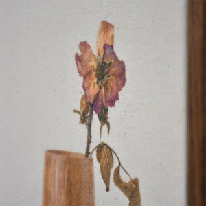 Cabinet des fleurs, Rose sauvage six pétales
